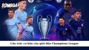 Cấu trúc cơ bản của giải đấu Champions League 
