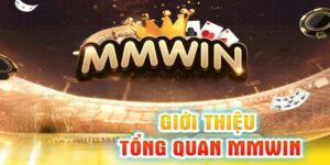 MMWIN - Sân chơi uy tín, quyền lợi người chơi vô vàn
